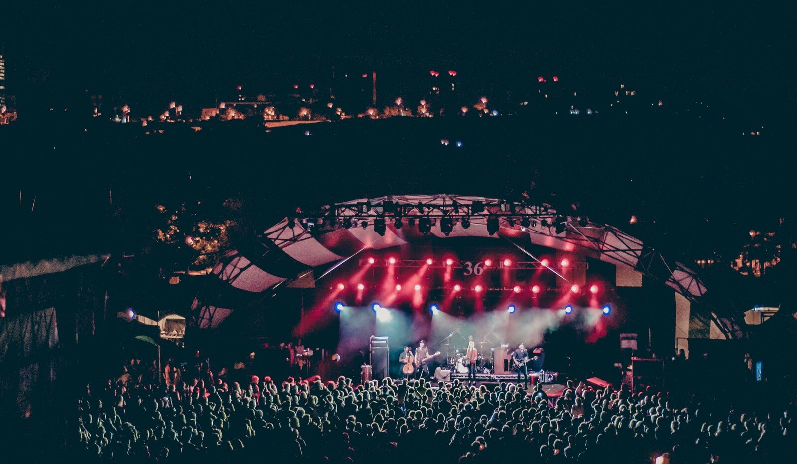 group of people watching concert