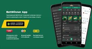 Comprehensive Guide to BetWinner Promo Codes