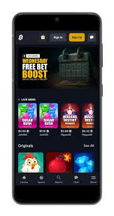 Rally Betting with Crypto A New Era in Sports Wagering